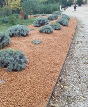 AgrEcoPaillage image 7