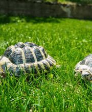 Wellness-Hotel Christiania Bild 9