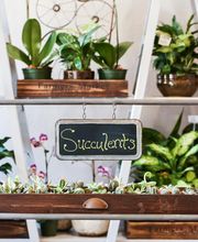 In Bloom Florist image 11