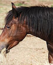 Usines Cooperatives Deshydratation Vexin image 1