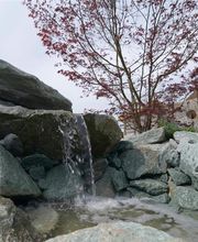 Hohenschläger GmbH Garten- und Landschaftsbau Bild 10