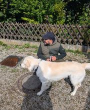 Hundeschule München-Nord