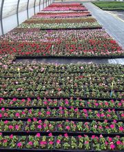 Les Serres De Biennac image 9