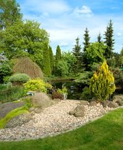 Wädi's Gartenbau natürli Bild 1