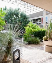 Carol Mellen, Ph.D. image 8