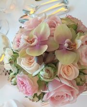 Blumen & Garten aller Art GmbH Bild 2