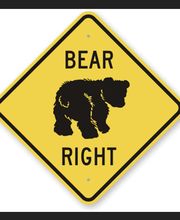 Coach Bear Golf image 5