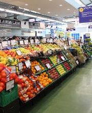 CASH FRESH imagen 10