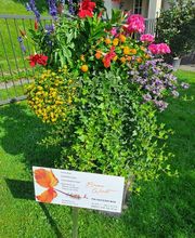 Bruno Winet, Privatgärtner Bild 5