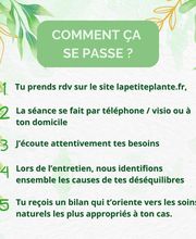La Petite Plante image 10