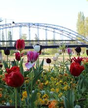 Mairie - Monéteau image 4