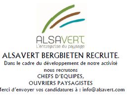 Alsavert image 2