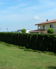 AGS Garten-und Landschaftsbau Bild 10
