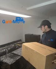 Gant-Move mit Karton.png