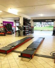 Gallery Cliente