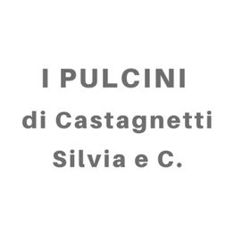 I Pulcini logo
