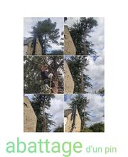 Vert Expert image 6