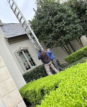 SafeHaven Pest Control image 15