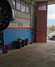 Gallery Cliente