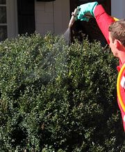 Turf Masters Lawn Care image 5