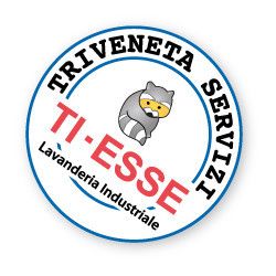 Ti - Esse Triveneta Servizi logo