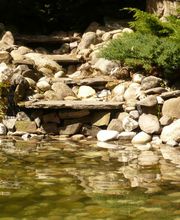 Gartengestaltung Scholz Bild 4