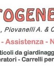 Gallery Cliente