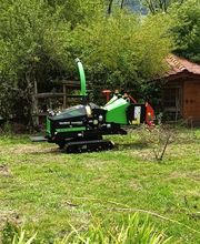 Devillaz Elagage image 2