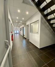 HECG image 11