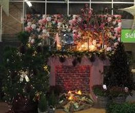 Intratuin Zwolle afbeelding 14