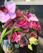 Blumen Meyer Bild 5