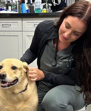 The Pet Doctor - O'Fallon image 4