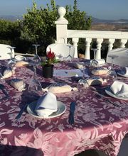 Tomate Algo imagen 5