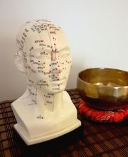 Ducaroy Maïa image 4