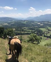 Equiloisirs image 12