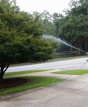 Nature's Turf image 9