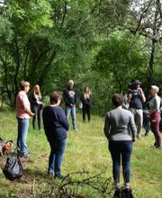 Reloaded Massagen Prävention Coaching Bild 4