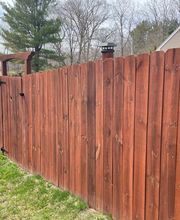 Bonsai Builders image 14