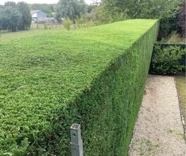 HashTEC Garten- u. Landschaftsbau Bild 8