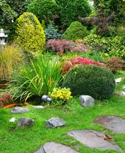 Martin Marius Bild 3