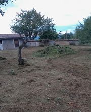 Chebance Bertrand image 3