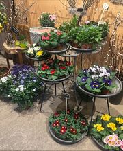 Grimm Obst u. Gemüsehandels AG Bild 3