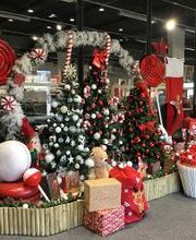 Orchestra PERPIGNAN image 4