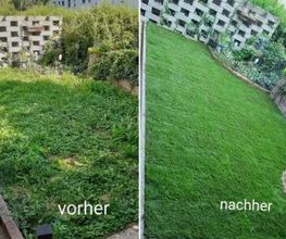 ARAM Garten- und Landschaftsbau Bild 1