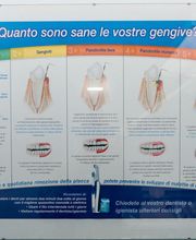 Gallery Professionale