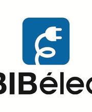 Bibelec image 12