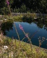 Naturag Gartenbau AG Bild 2