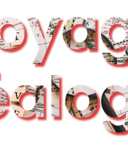 Séverine Dewarez image 6