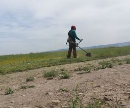 195098439-1-4PAluZ17Qc1782194386827.jpeg