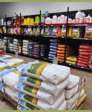 Jardinerie Pontier et Fils Ets image 10